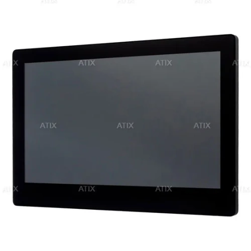 ATH-IN-M1031F-TW ATIX фото 2