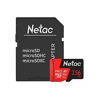 NT02P500PRO-256G-R Netac