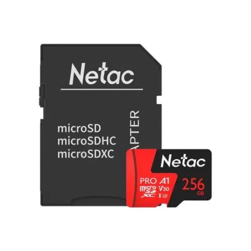 NT02P500PRO-256G-R Netac