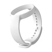 DS-PDB-IN-Wristband AxPro