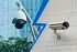 AHD vs IP камеры: подробное сравнение технологий видеонаблюдения