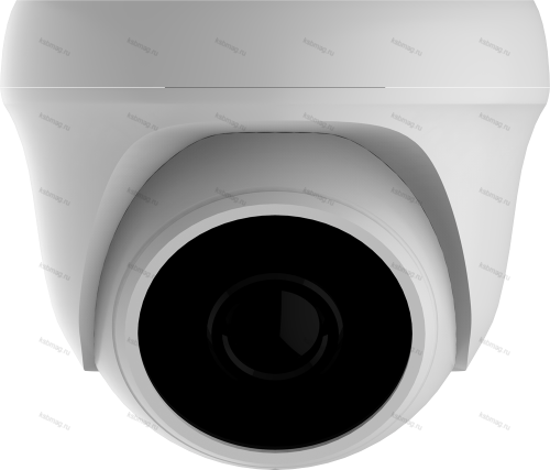 EVC-DP-SE20-P/A(BV) купольная IP видеокамера, 2.0Мп, f=2.8мм, POE, аудио вход от интернет магазина Комплексные Системы Безопасности фото 2
