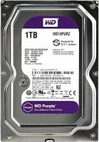 форм-фактор 3.5 ; тип: HDD; интерфейс: SATA III; объём: 1Тб; скорость вращения шпинделя 5400об/мин; буферная память 64Мб. Диск для круглосуточной эксплуатации в системах безопасности высокой четкости. Жесткий диск WD Purple WD10PURZ, 1Тб, HDD, SATA III, 3.5"